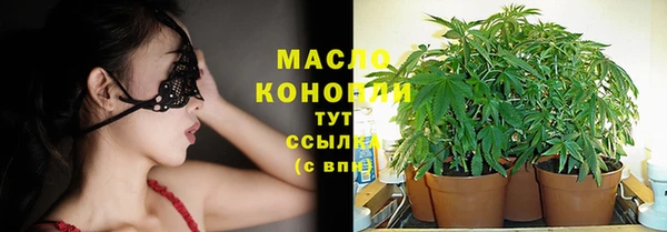 твердый Ельня