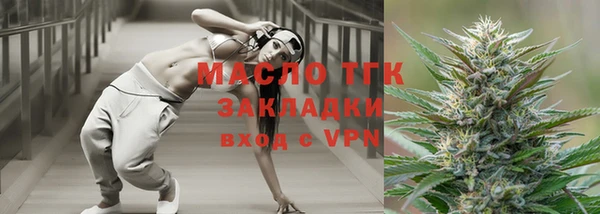 твердый Ельня