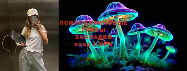 ALPHA PVP Елизово