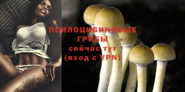 дживик Нягань